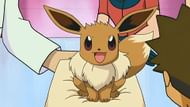 May's Eevee was one of her most stalwart partners in the anime (Image via The Pokemon Company)